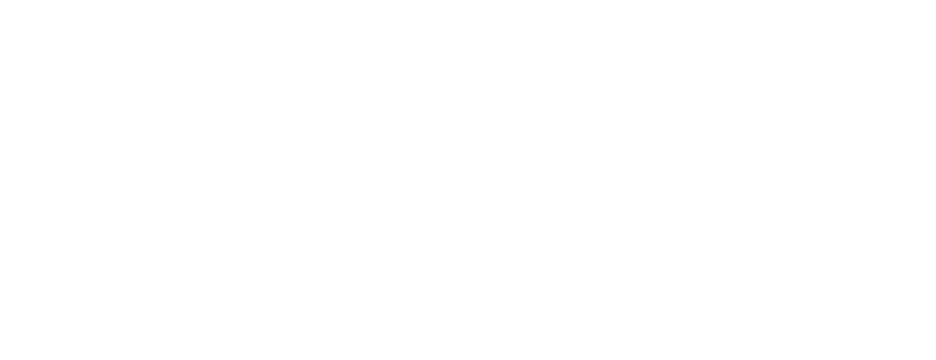 Bajaj Holdings & Investment Limited